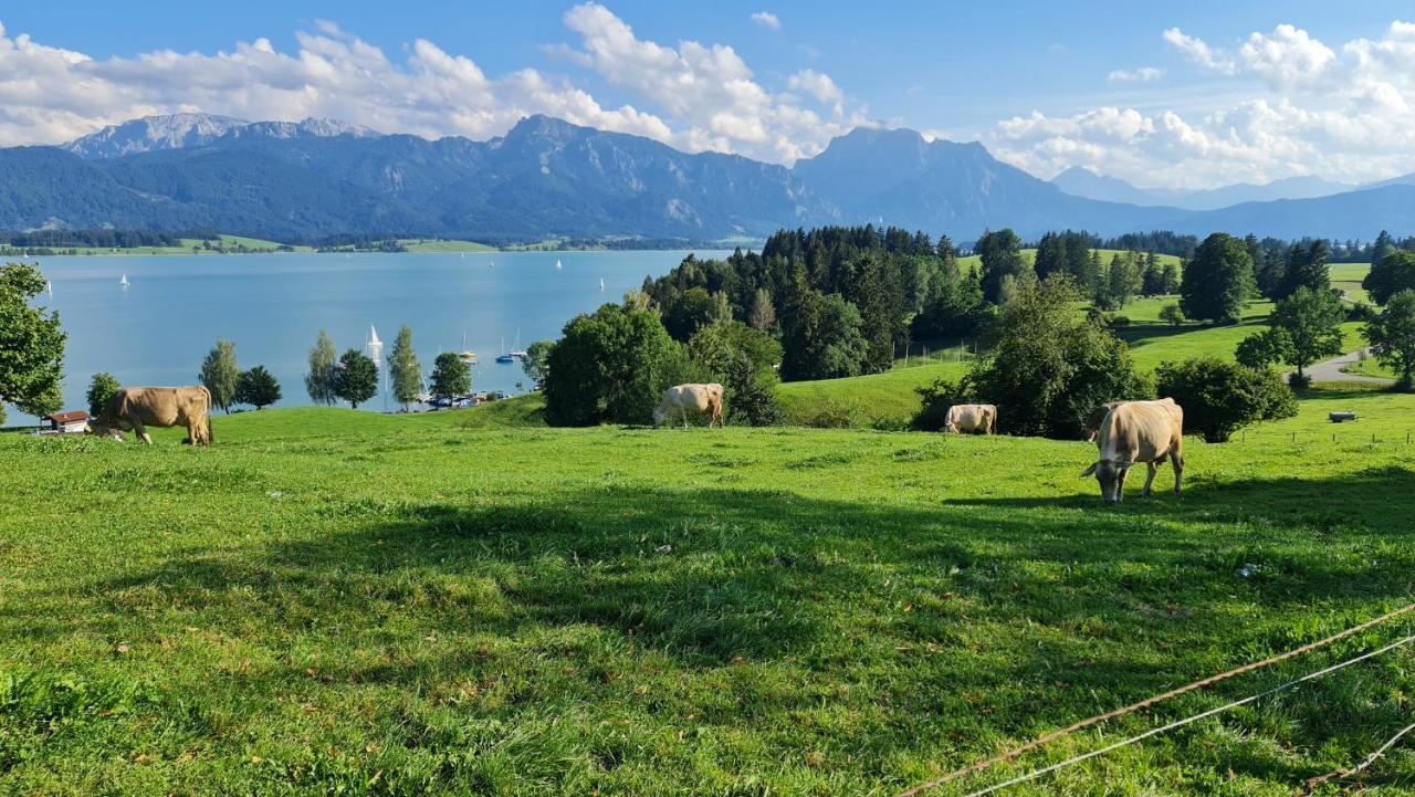 Young & Smart-apartment Inkl Koenigscard In Allgaeu Nahe Neuschwanstein *